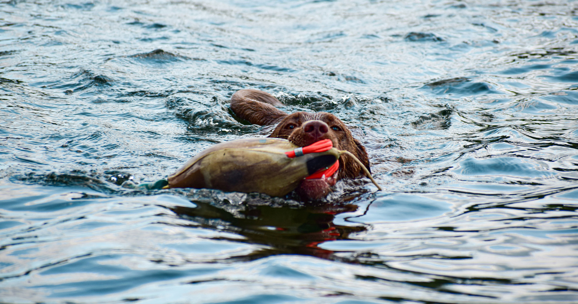 lifestyle photography